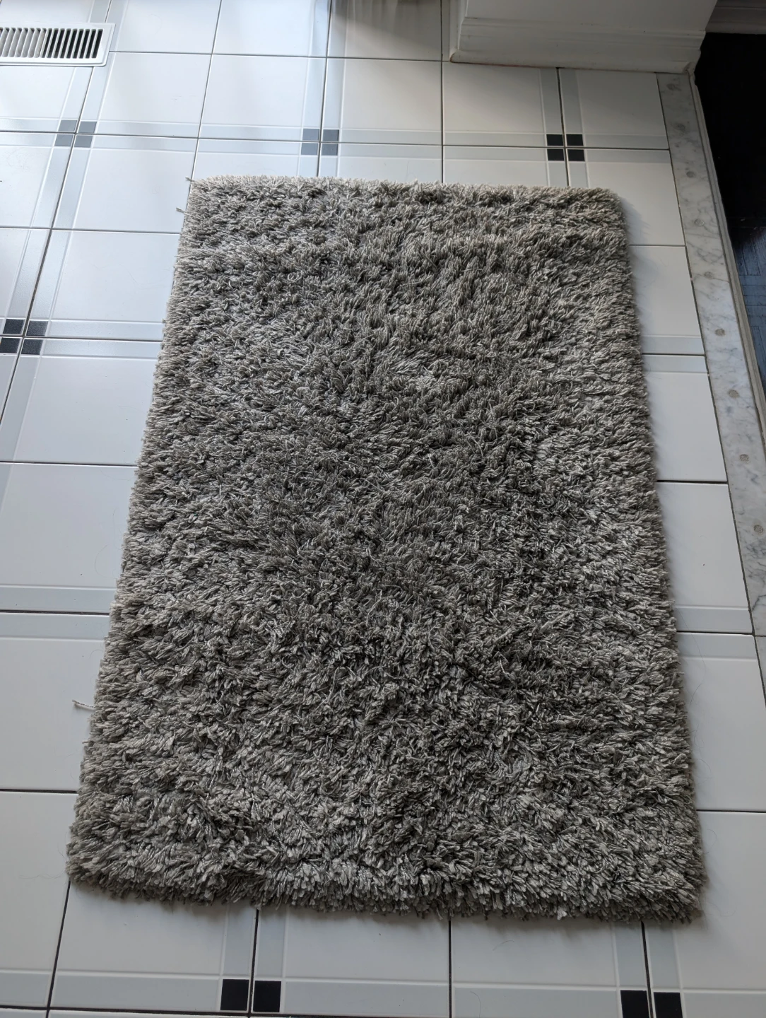 Deluxe Shag Area Rug - 2ft x 4ft