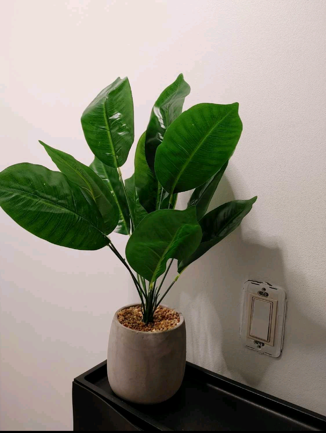 Artificial  Plant in Grey Pot New