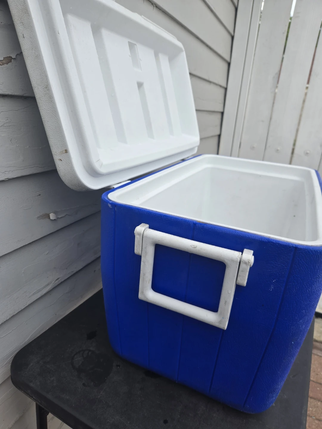 Coleman Cooler - photo 5