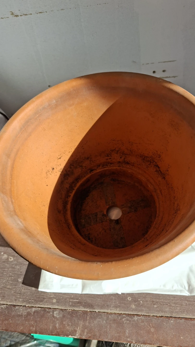 Terracotta Plant Pots - photo 2