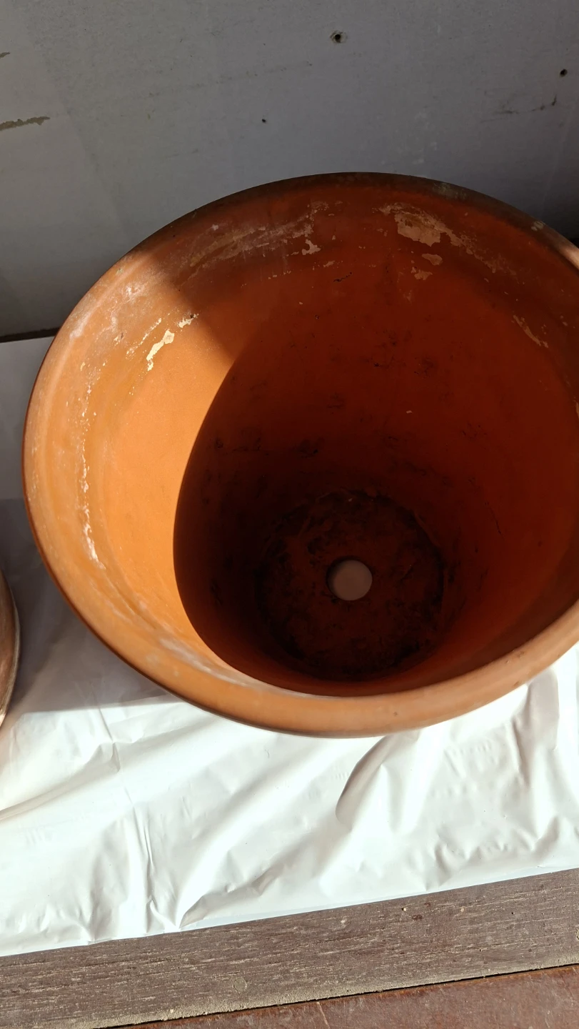 Terracotta Plant Pots - photo 3