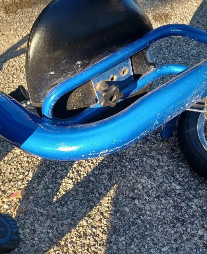 Schwinn Roadster, a classic-style trike - photo 2