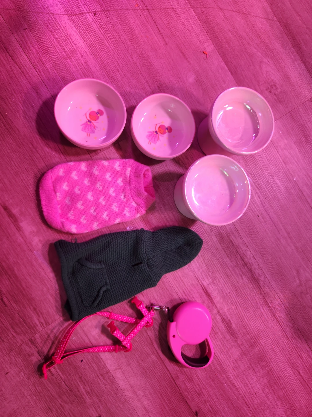 Pet Accessories Bundle: Bowls, Sweaters & Leash