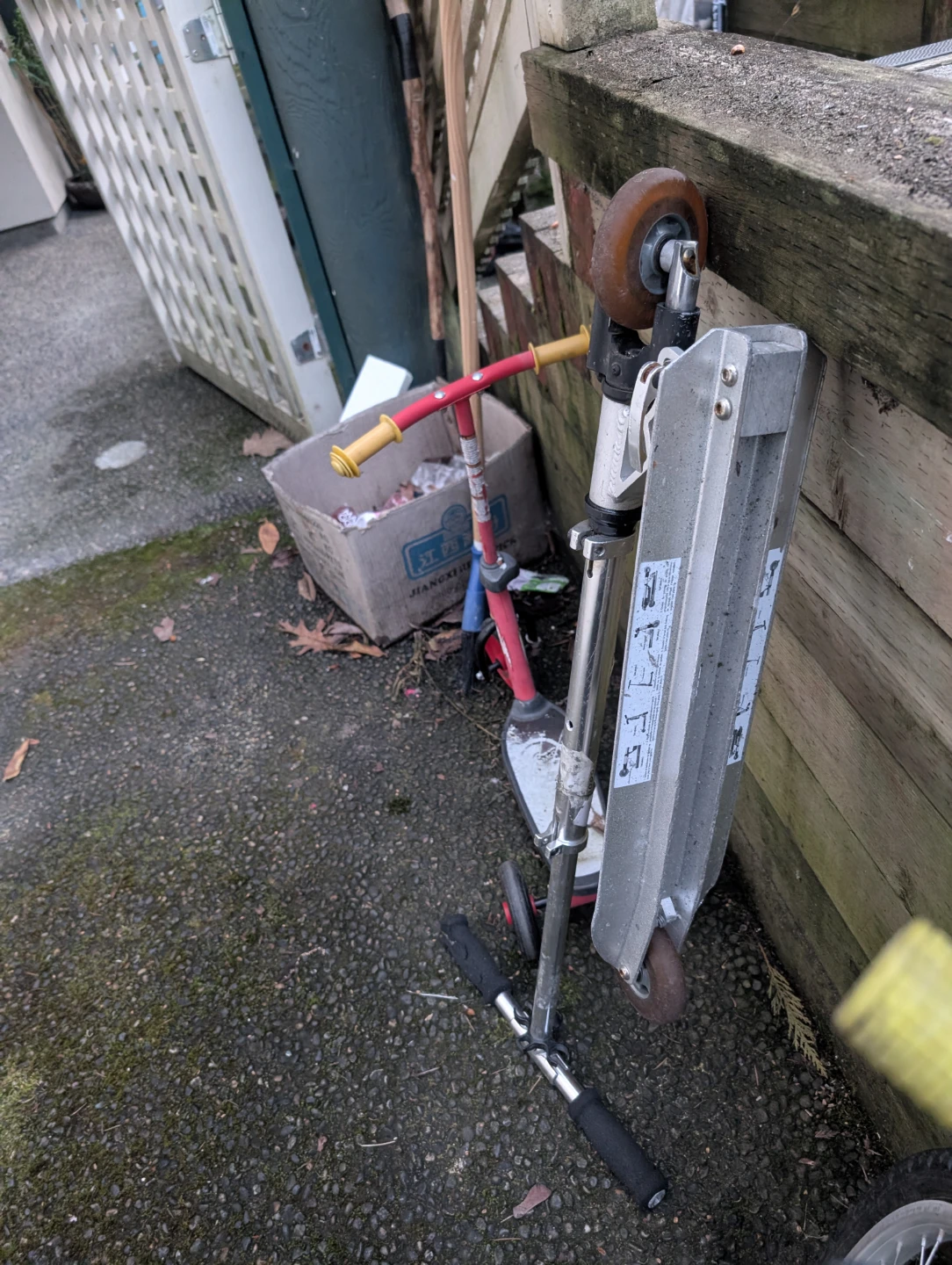 Infinity Scooter