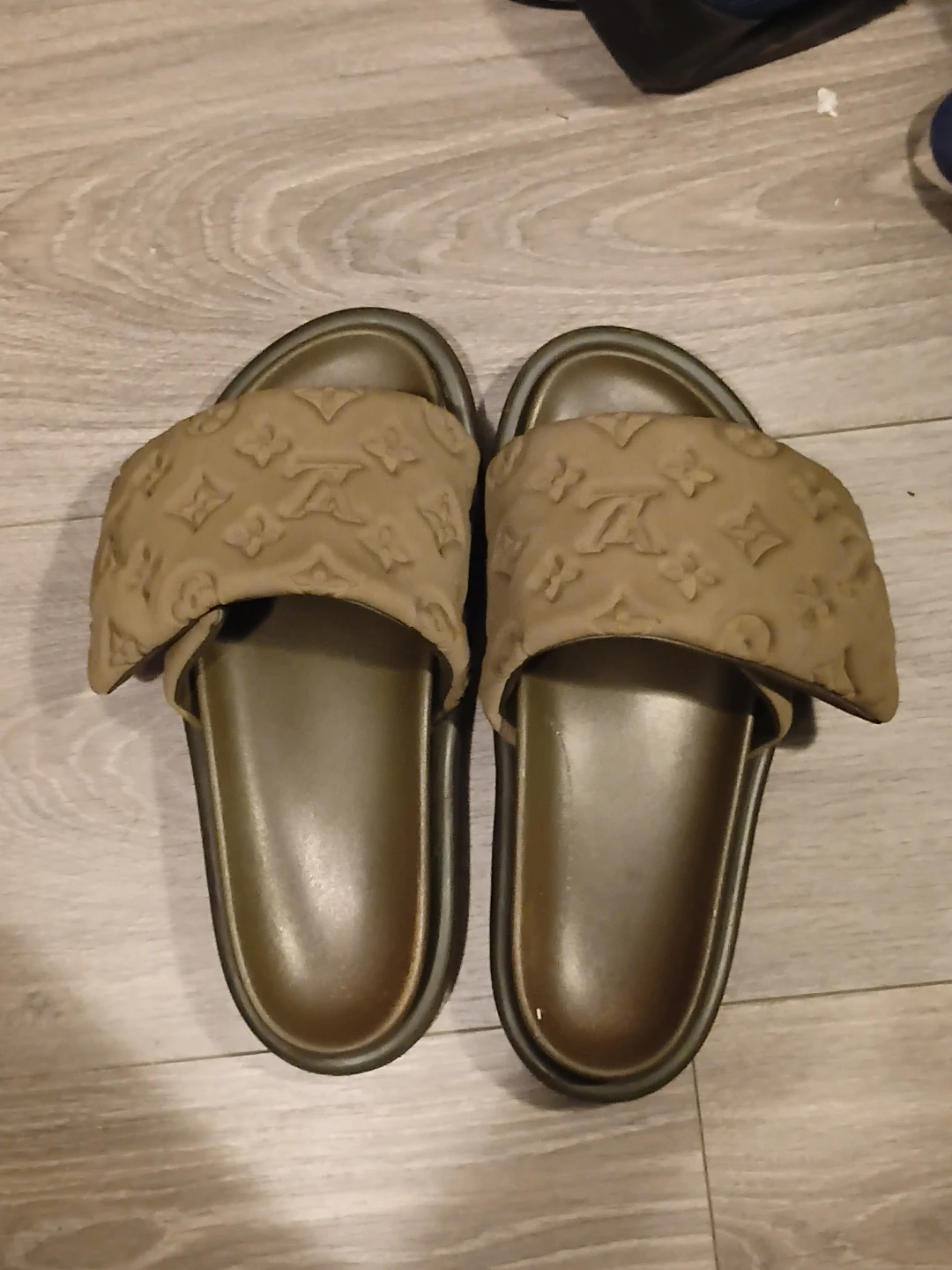 Louis Vuitton Monogram Slides