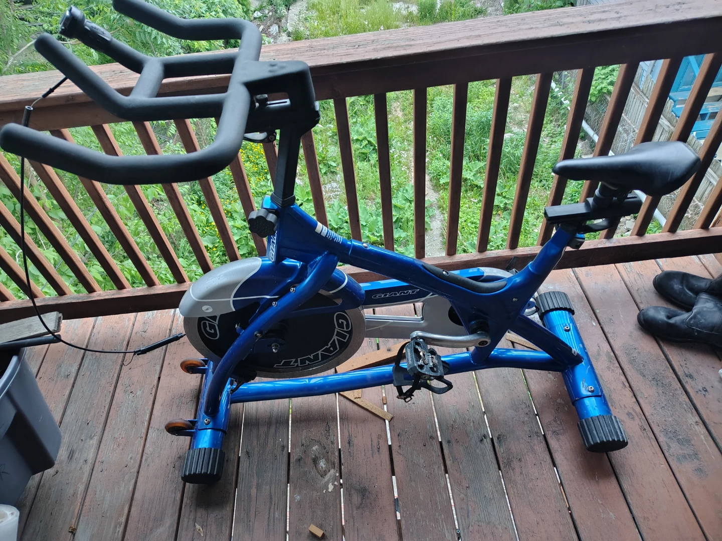 Blue Giant Exercise Bike - photo 3