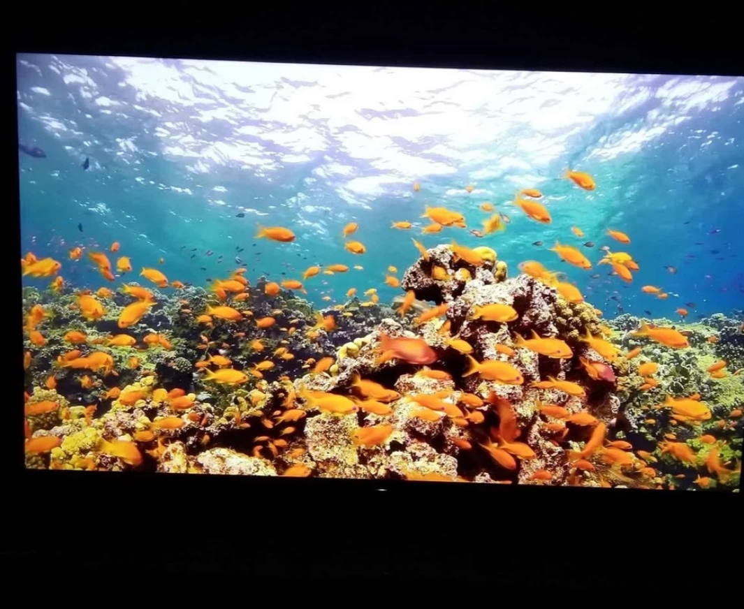 SONY 65" 4K UHD HDR ANDROID SMART LED TV *WITH X1 PROCESSOR* - photo 3