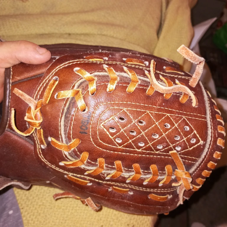 Cambridge "Professional Model" Baseball Glove - photo 4