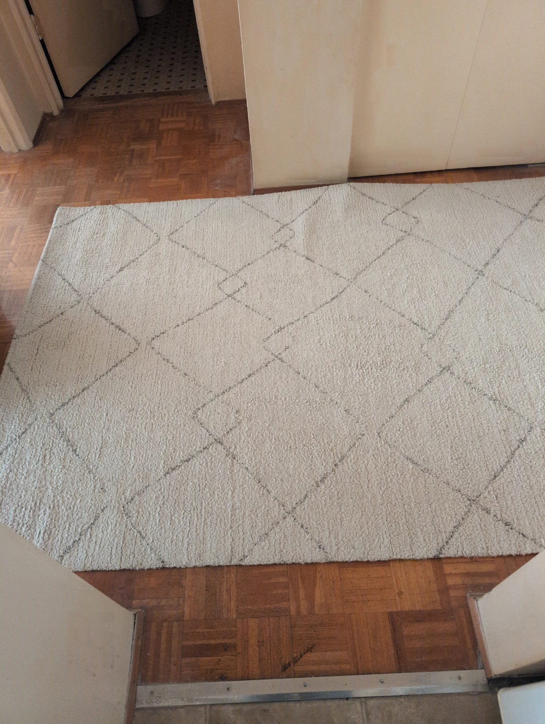 Area Rug with Diamond Pattern - photo 2