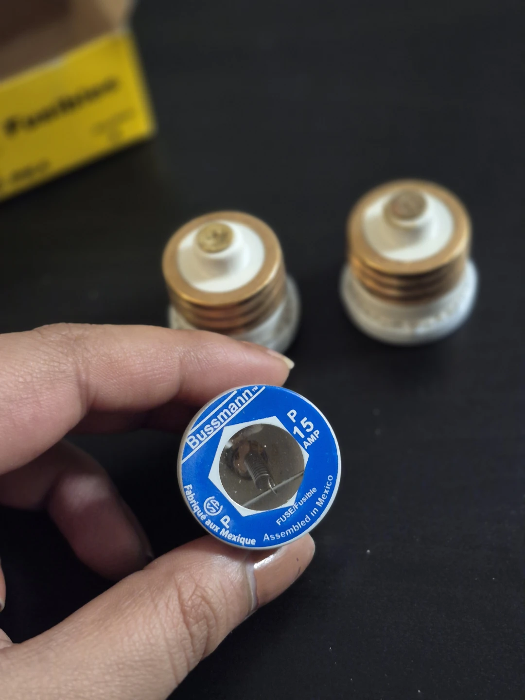 Bussmann P 15 Amp Type P Fuses (4 Count)