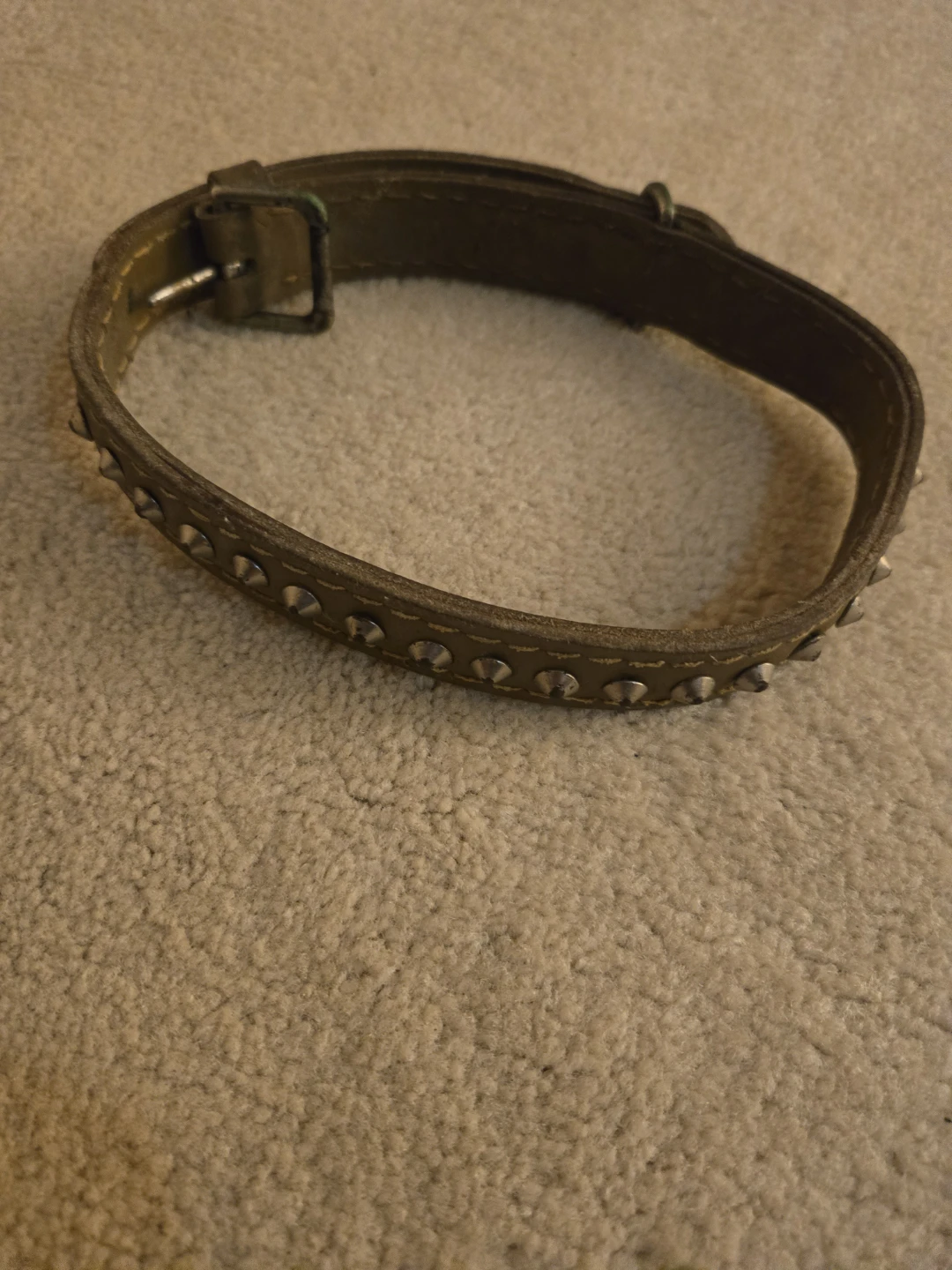 Studded Dog Collar