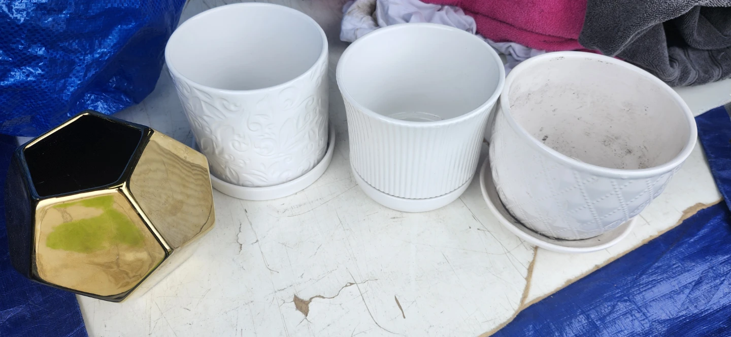 Flower pot for 4, for $10