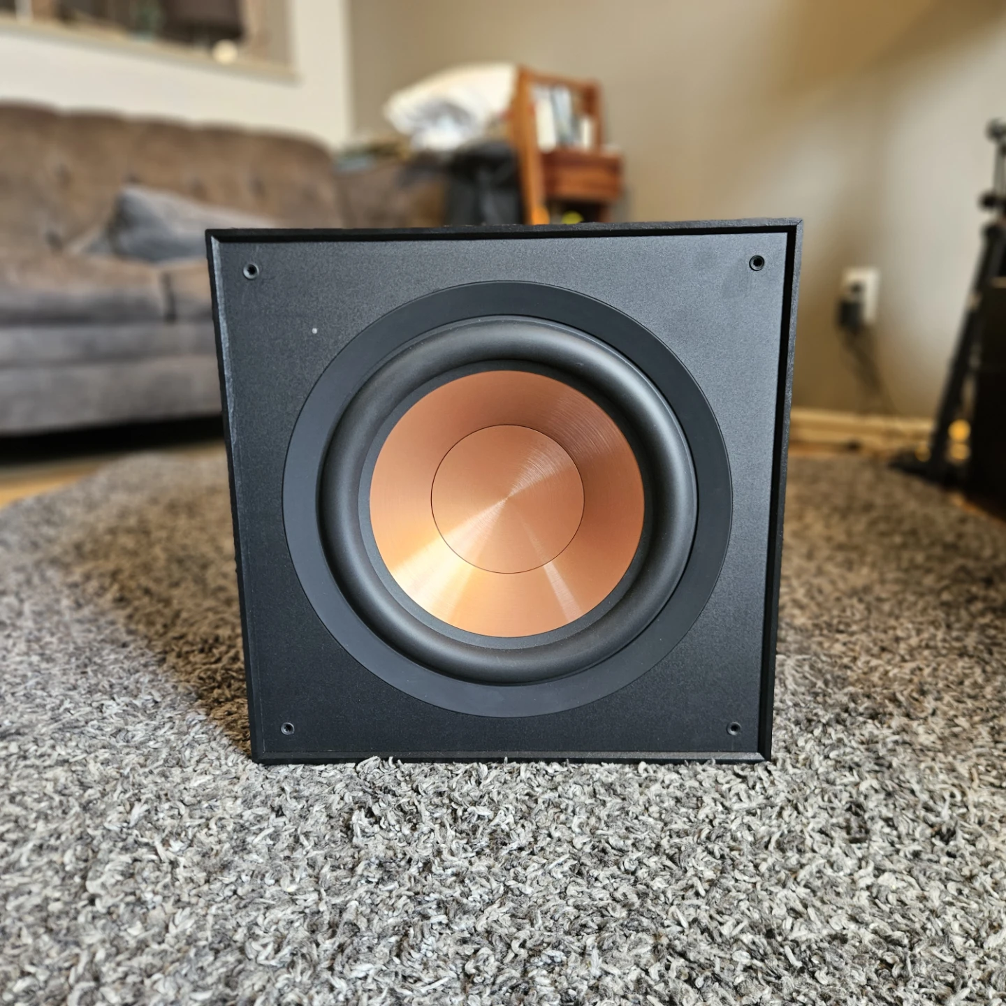 12 Inch Klipsch Ported Subwoofer