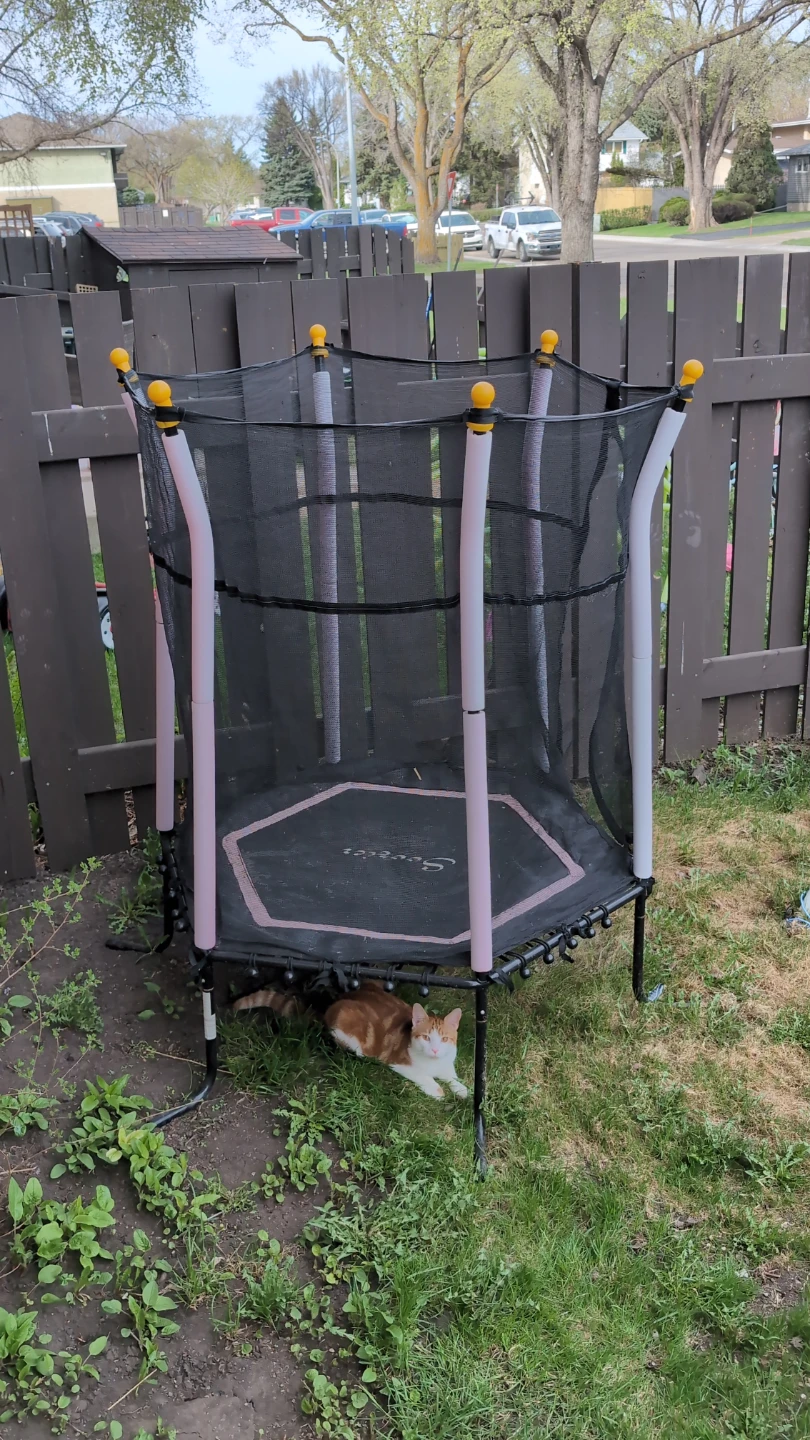 JumpSport 8x14 ft Trampoline