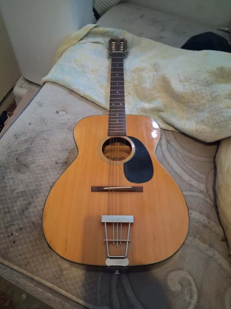 Dorado 12-String Acoustic Guitar