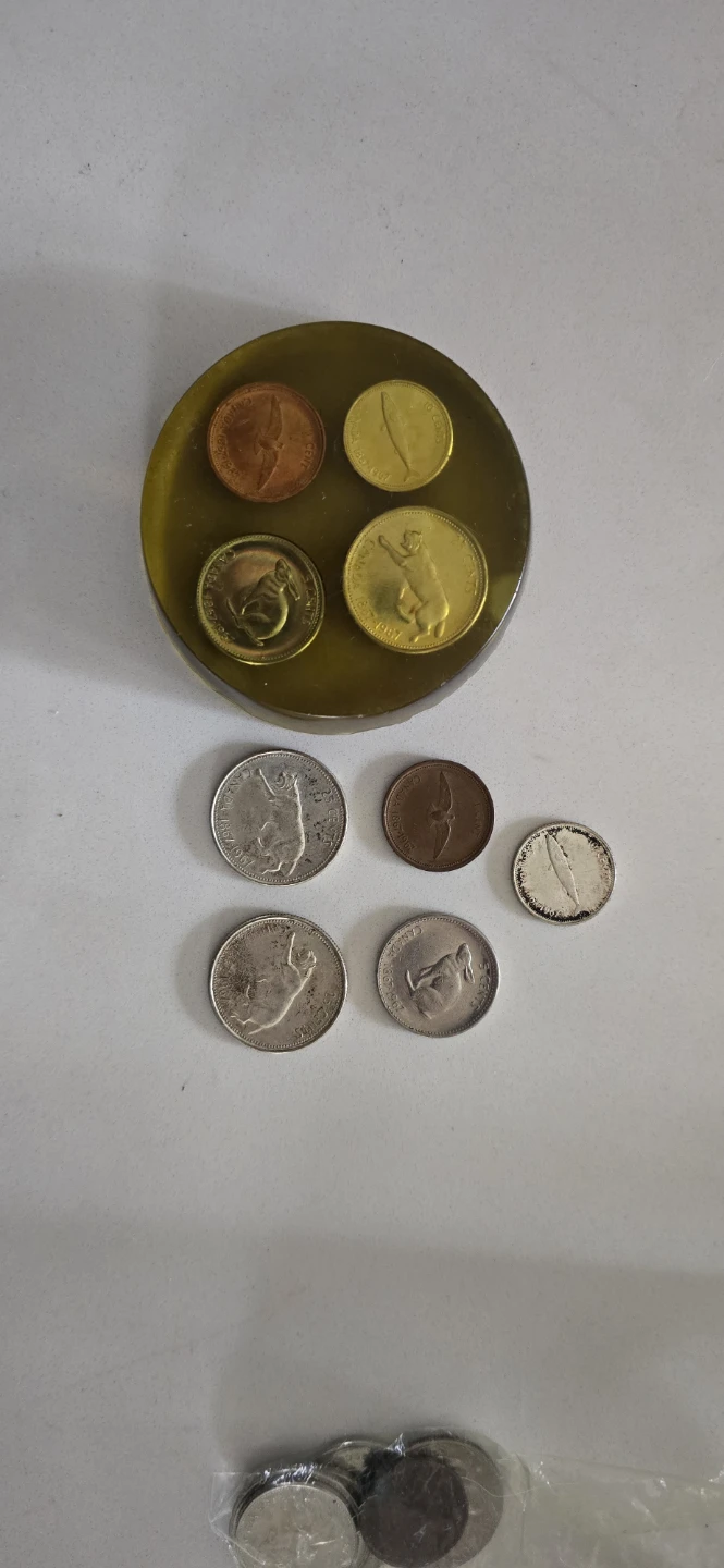 Collection of vintage Canadian coins in resin - photo 2
