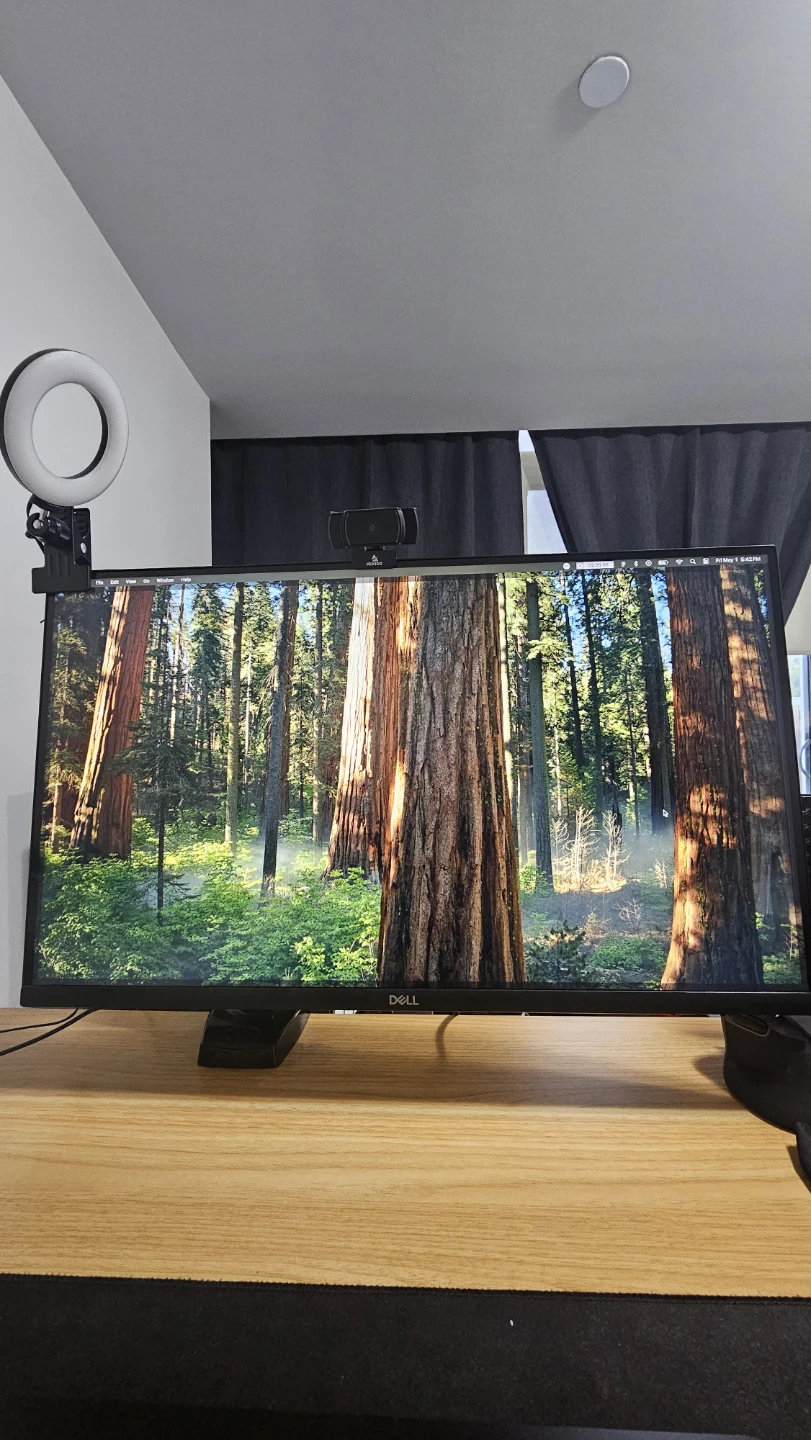 Urgent sale - Dell Monitor ($150 OBO)