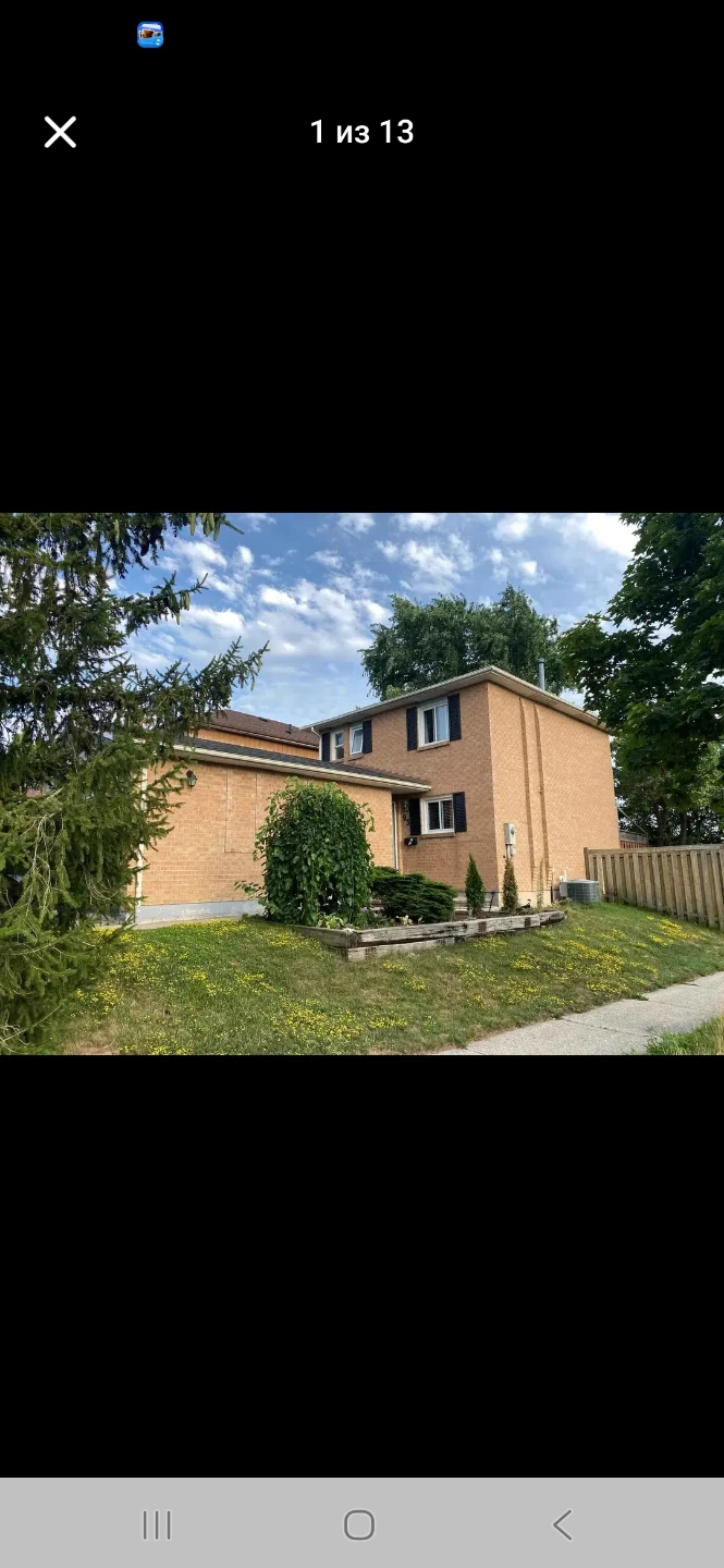 Basement for rent
