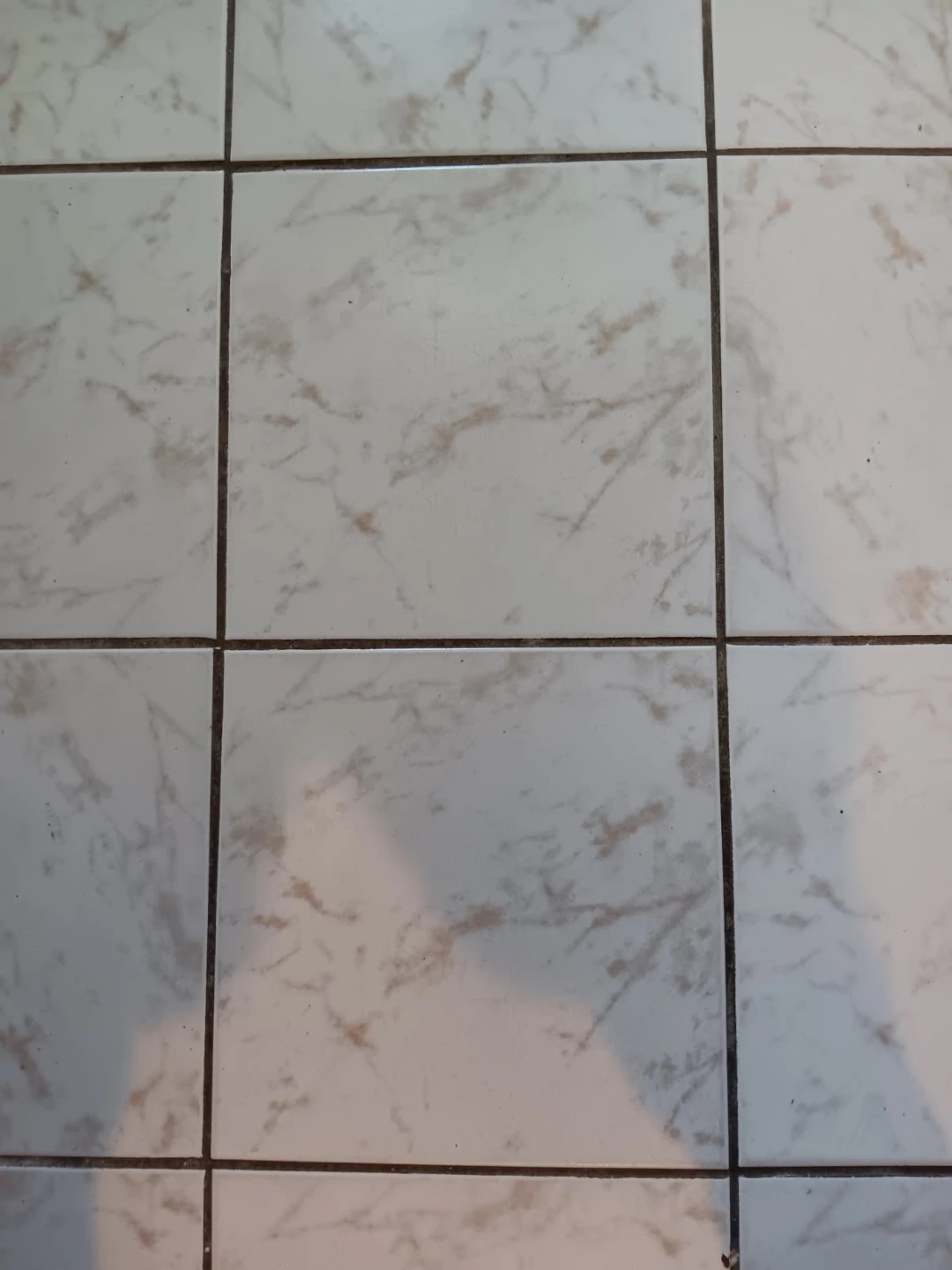 White Marble Pattern Floor Tiles
