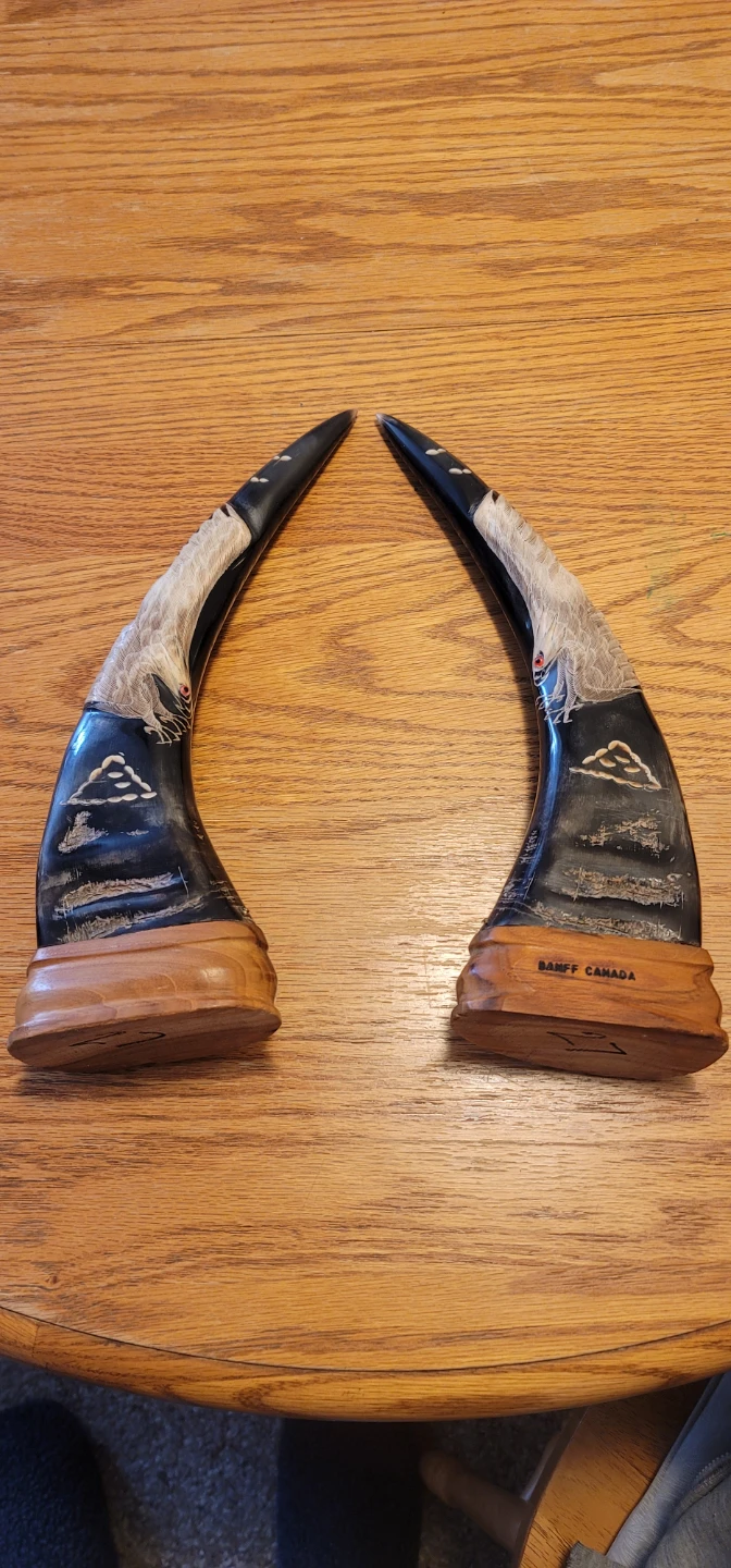 Decorative Horns with Banff Canada Carving