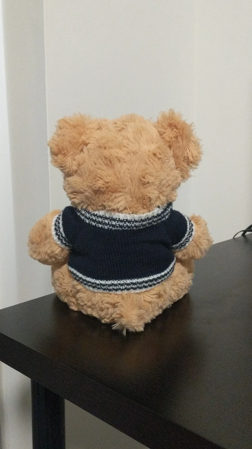 Teddy Bear with Navy Star Sweater - photo 2