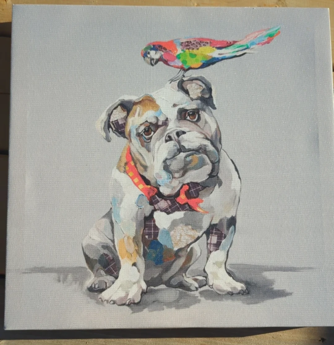 Bull dog canvas