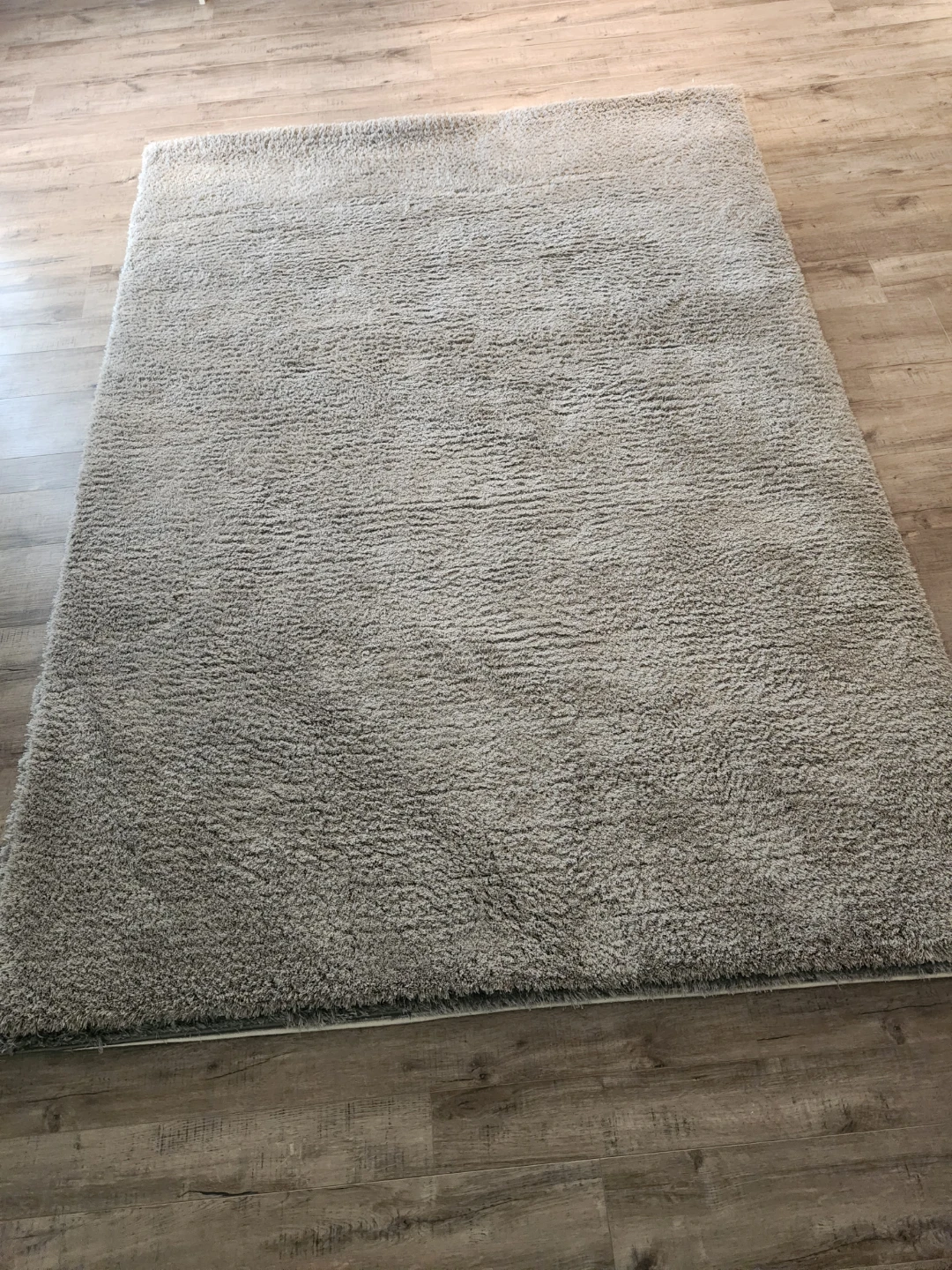Tayse City Shag Rug 5' x 8'