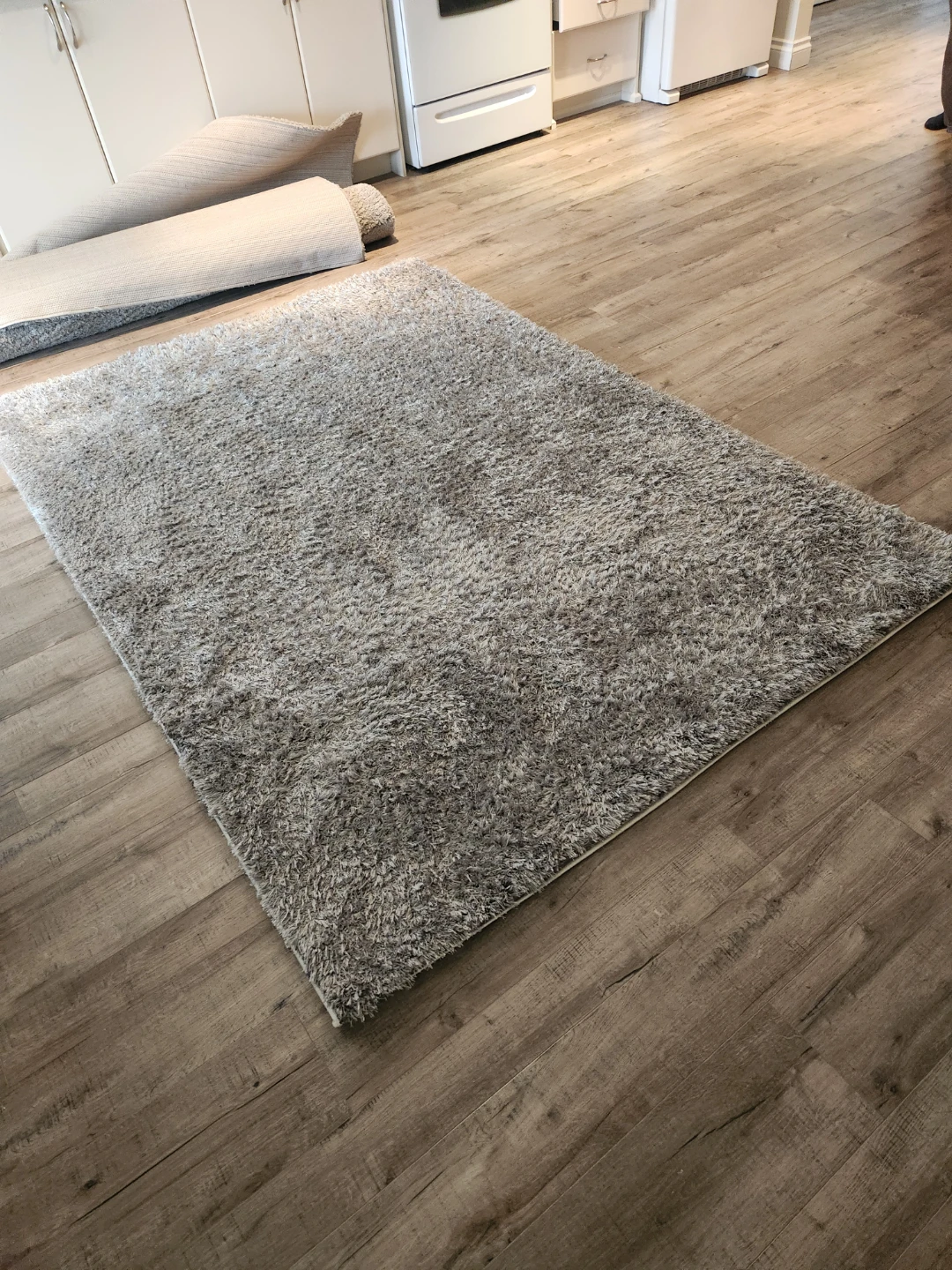 Tayse City Shag Rug 5' x 8' - photo 3