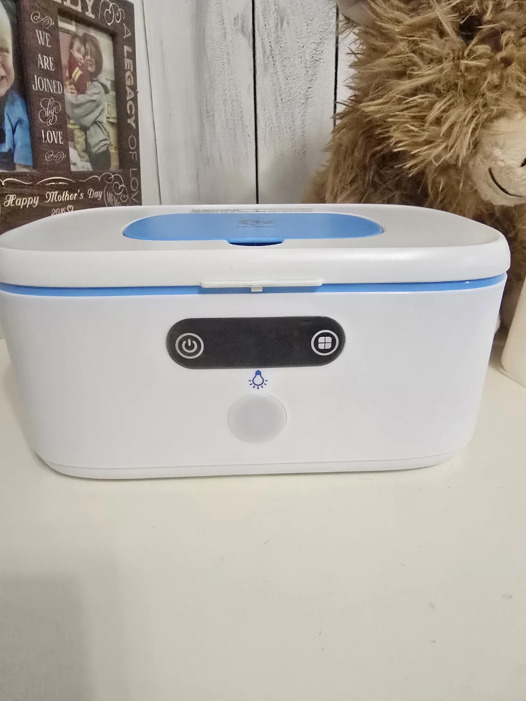 White and Blue Baby Wipes Warmer