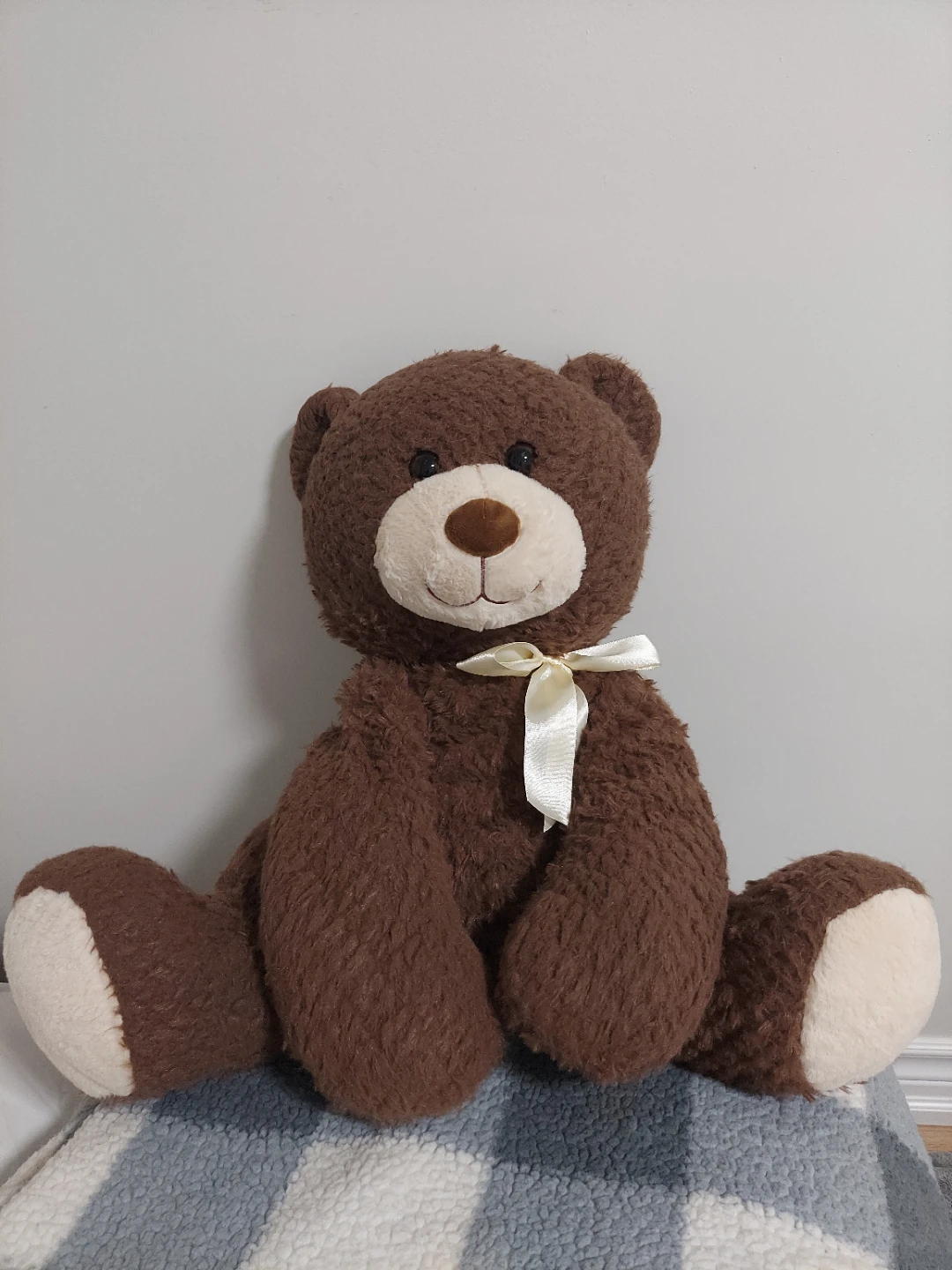Brown Teddy Bear Plush Toy