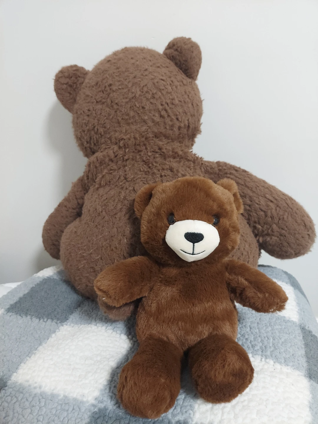 Brown Teddy Bear Plush Toy - photo 3