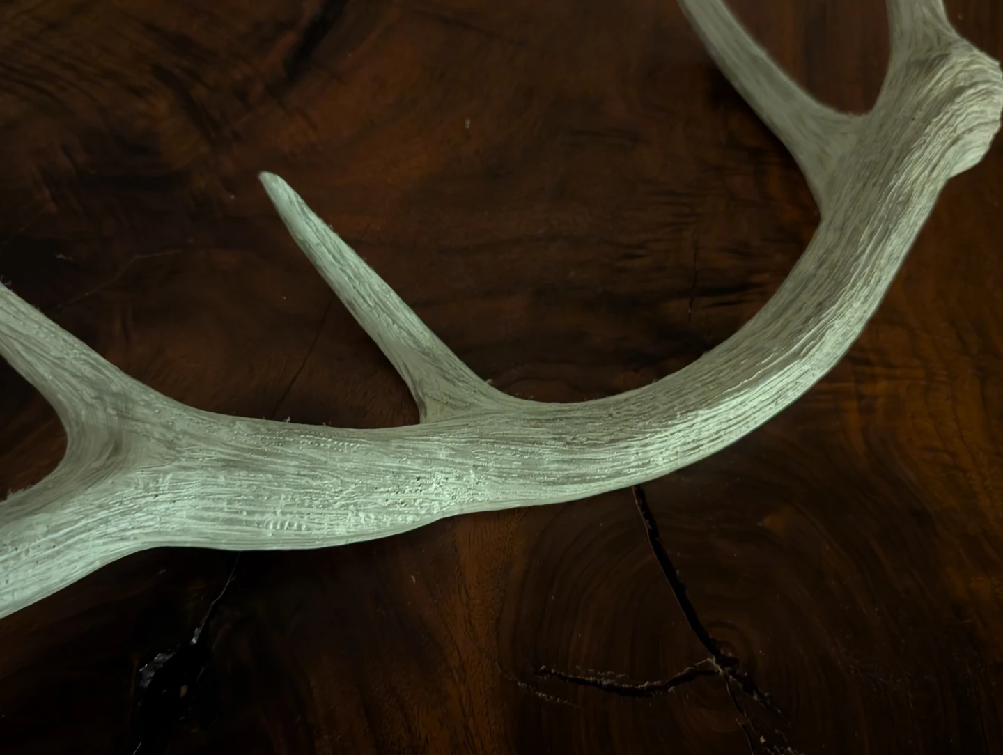 White Decorative Antler - photo 5