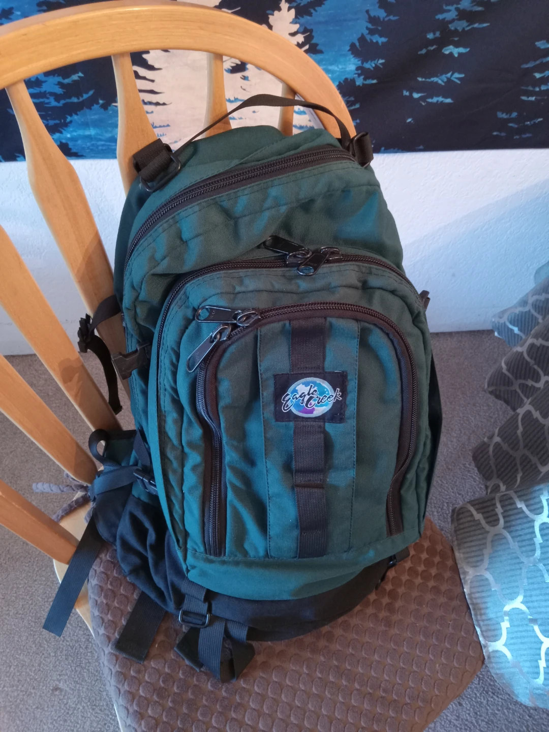Eagle Creek Green Backpack