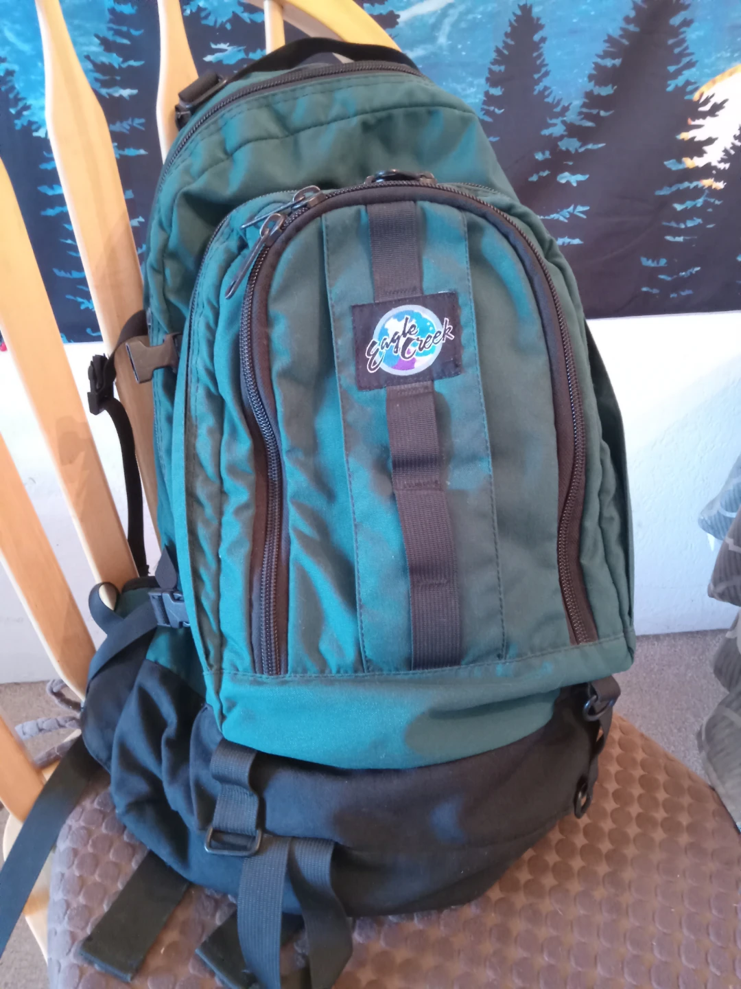 Eagle Creek Green Backpack - photo 2