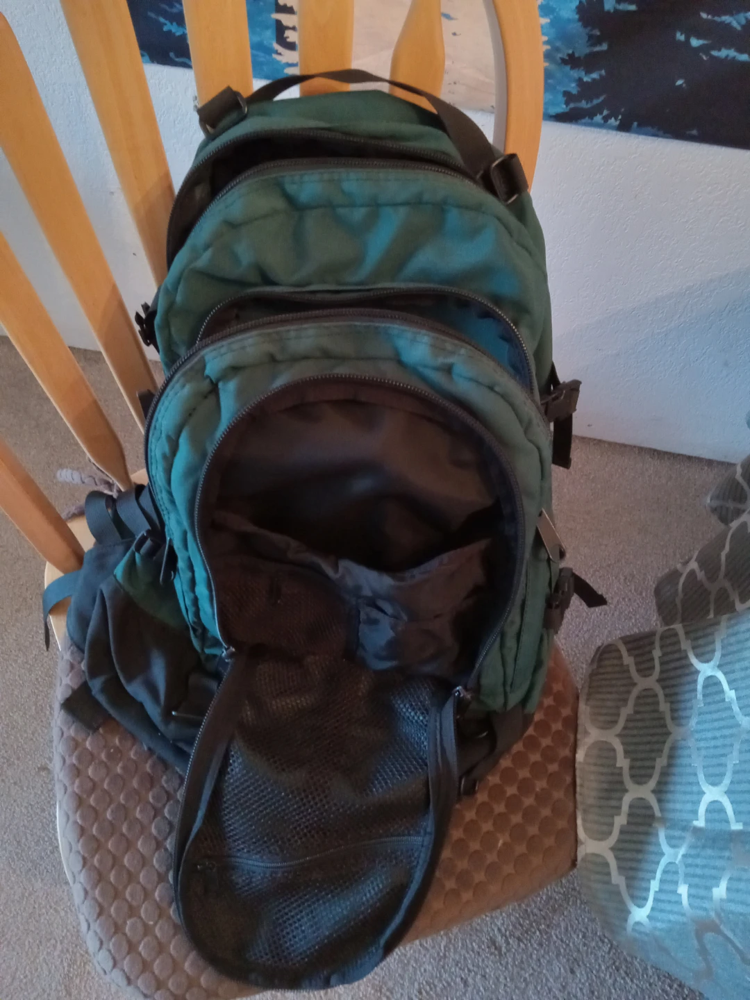 Eagle Creek Green Backpack - photo 4