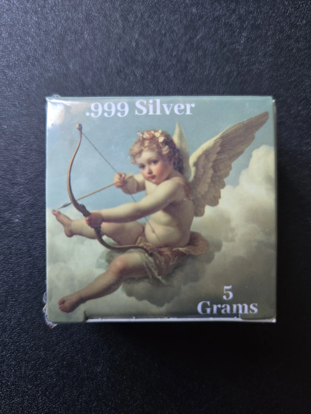 .999 Silver 5 Gram Bar