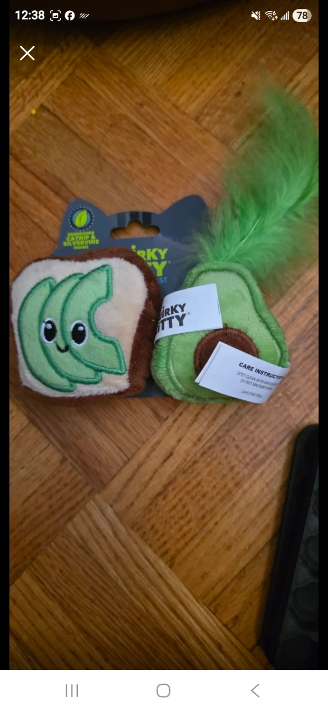 Quirky Kitty Avocado Toast Cat Toy