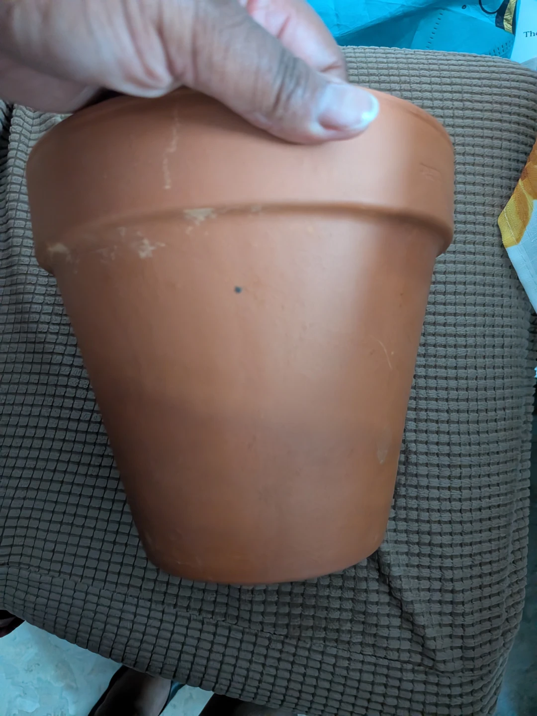 Deroma Terracotta Pot 2.9 L
