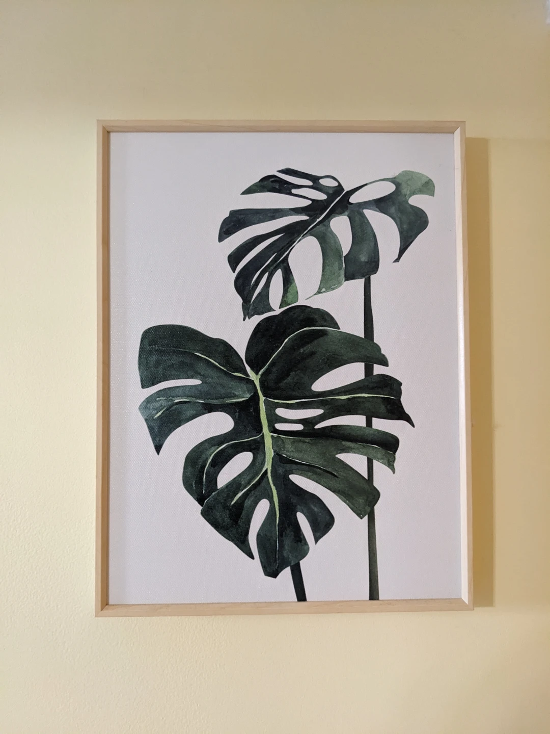 Monstera Leaf Art Prints Wall Decor - Set of 3