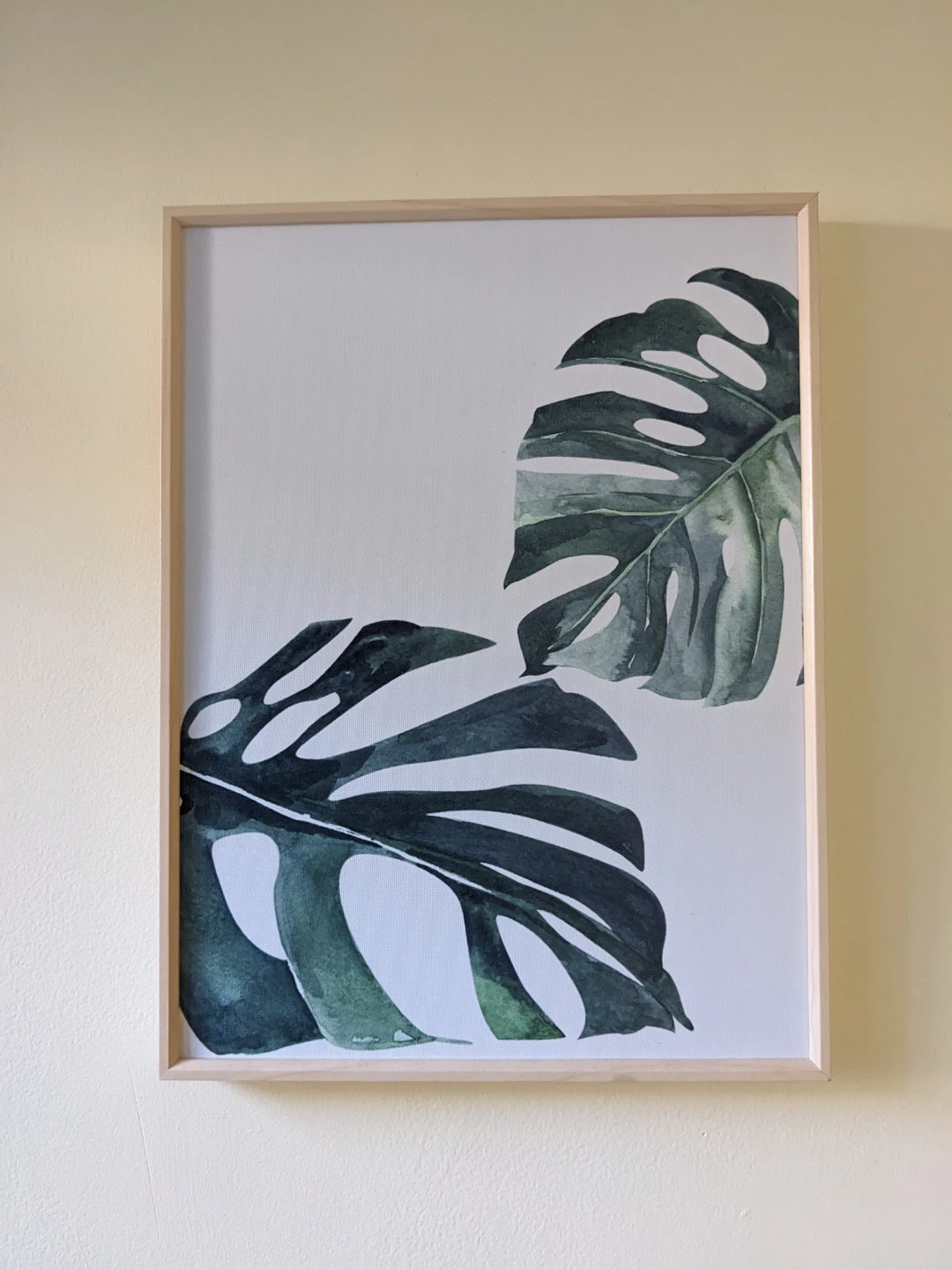 Monstera Leaf Art Prints Wall Decor - Set of 3 - photo 3