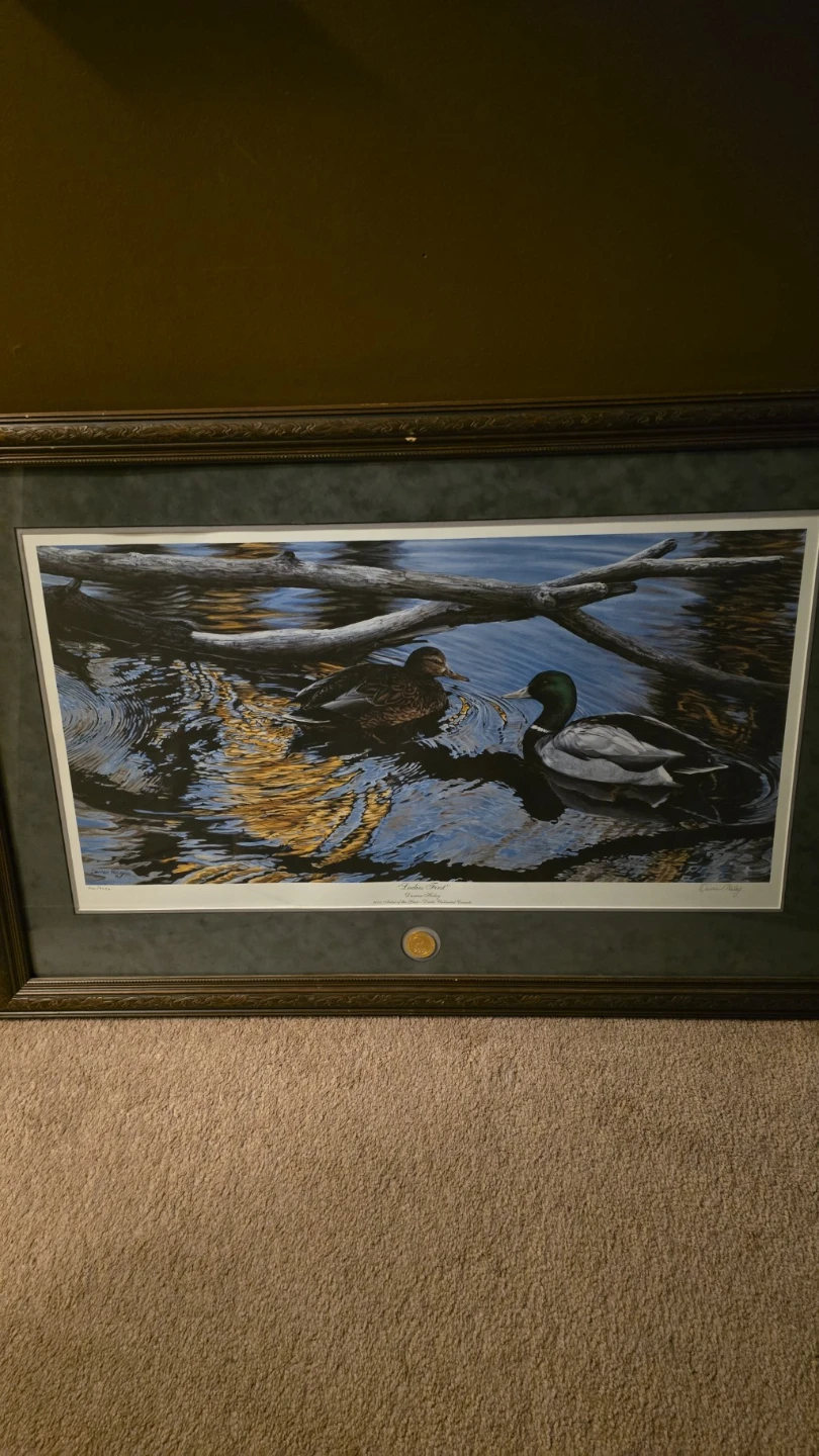 Ladies First Framed Print by Darren Haley