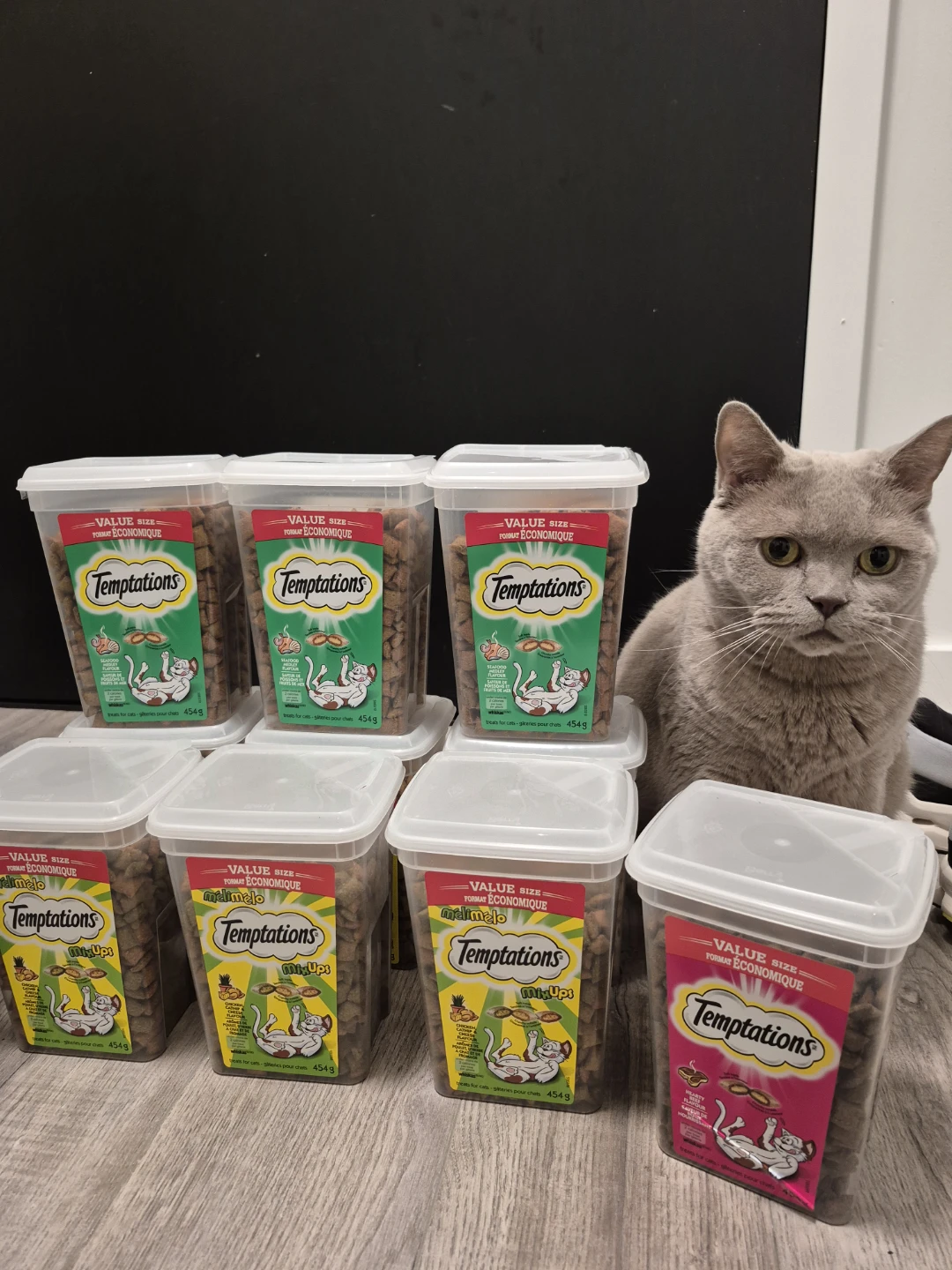 3 Cat Treats for 15$