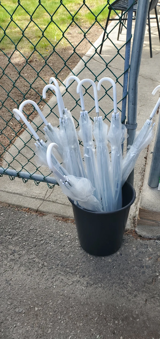 Nice clear umbrellas $10 each