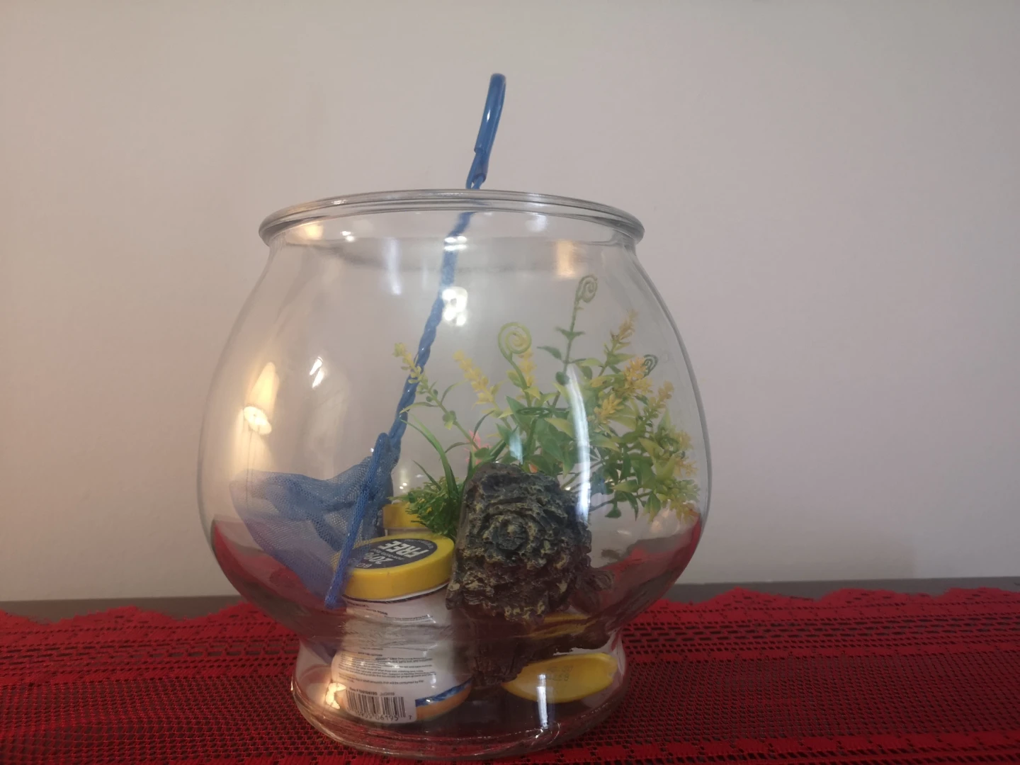 Betta Fish Tank Starter Kit
