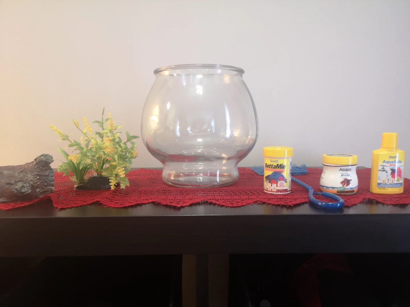 Betta Fish Tank Starter Kit - photo 2