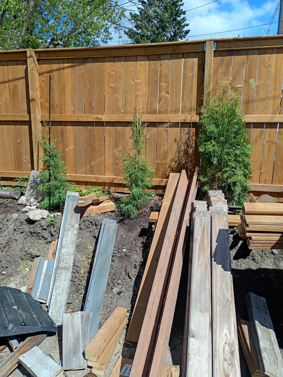 Bison Property Maintenance - photo 5