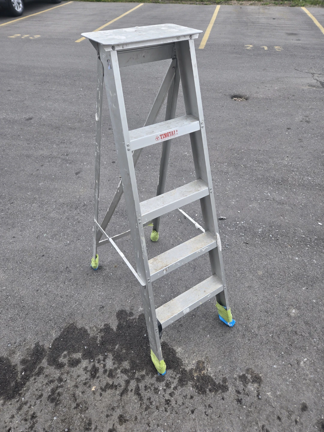 Tingtai Step Stool Ladder