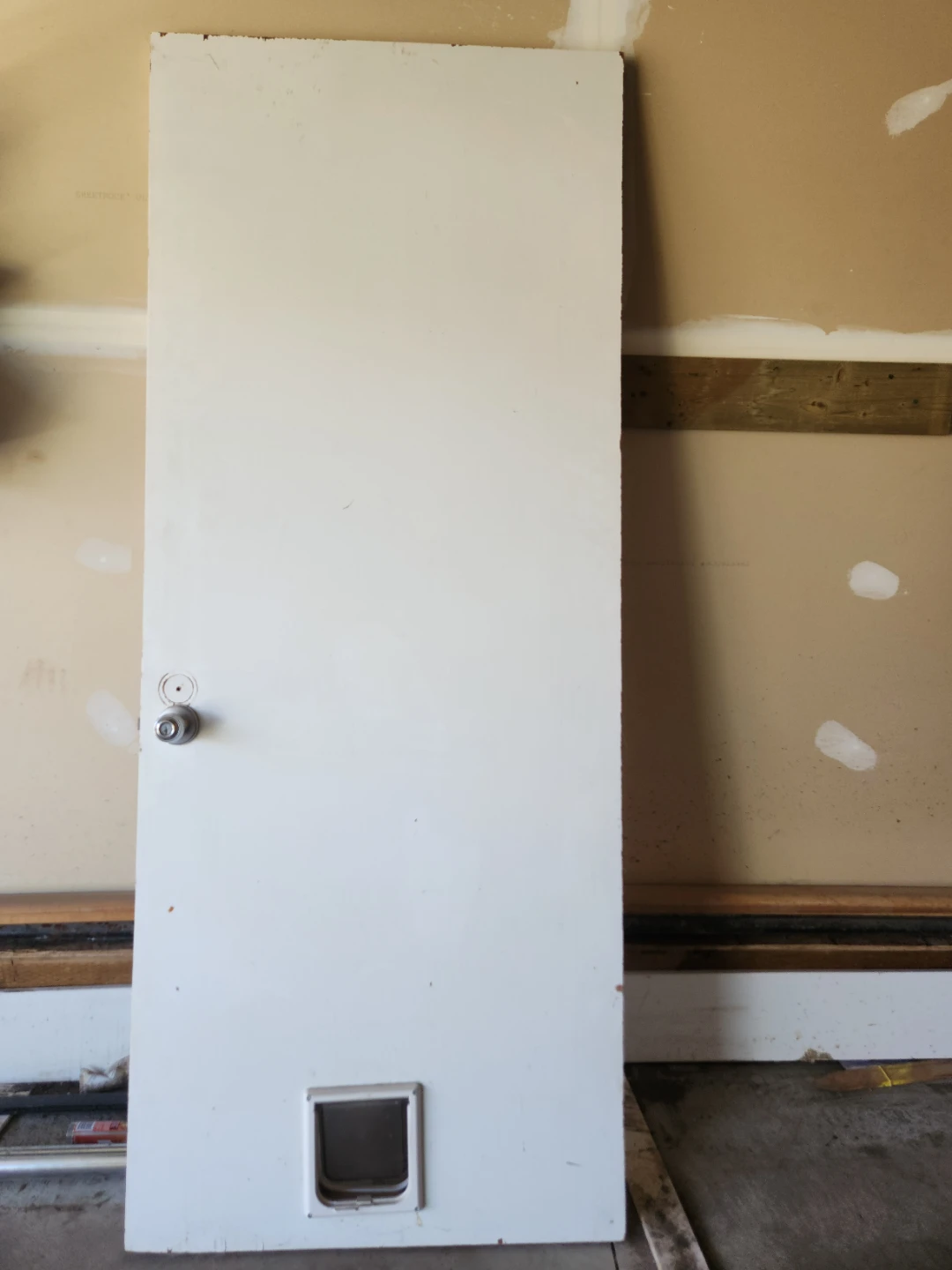Interior Door with Pet Door