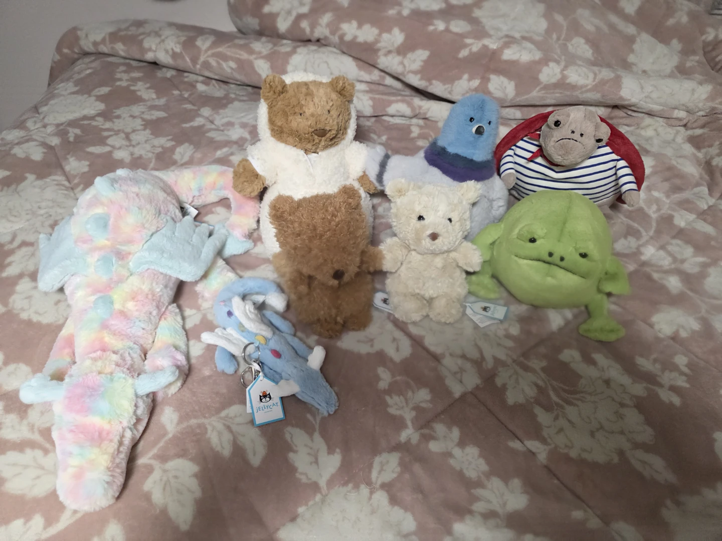 Brandnew Jelly cats with Tags for sale ( please read ad )