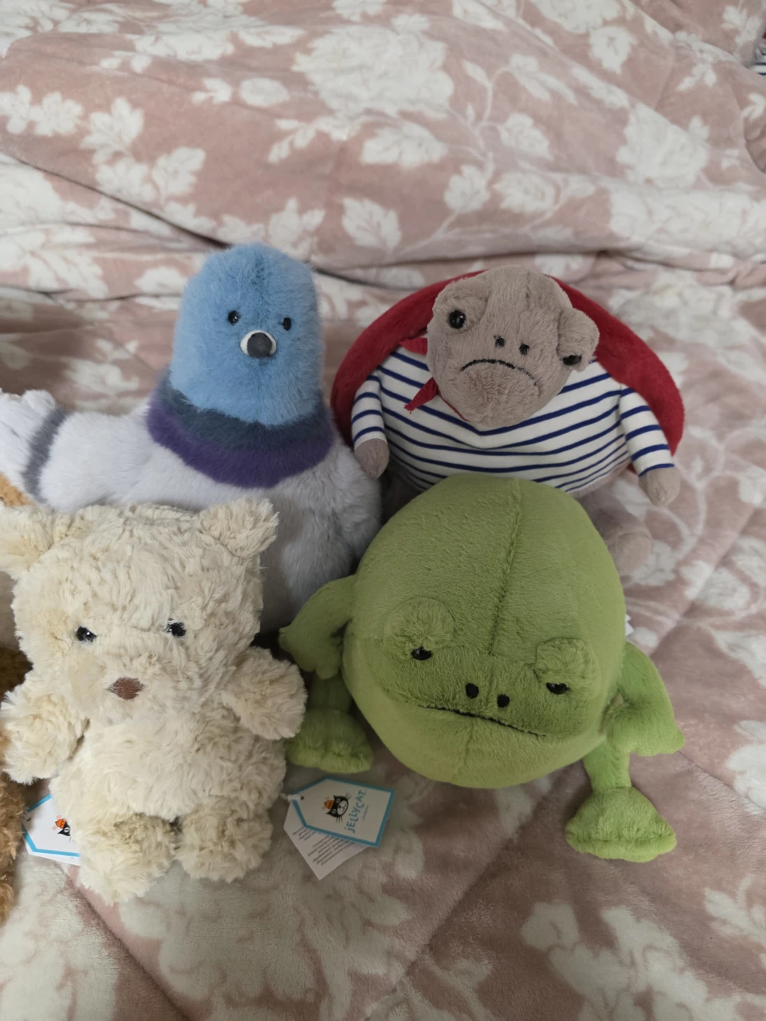 Brandnew Jelly cats with Tags for sale ( please read ad ) - photo 4